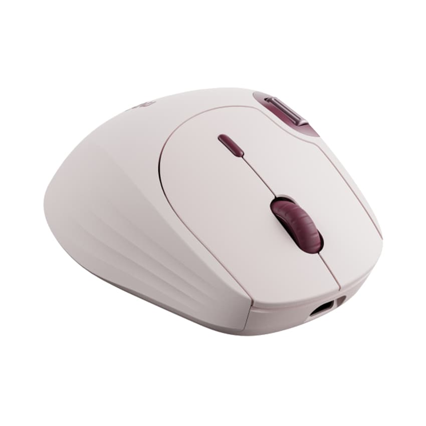 Ảnh sản phẩm 4